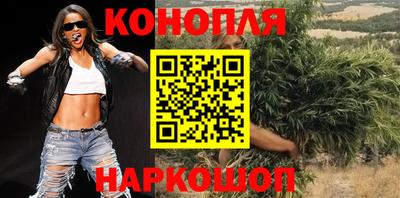 МДПВ Кингисепп