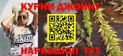 МДПВ Кингисепп