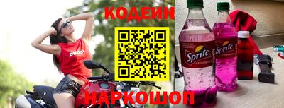 МДПВ Кингисепп
