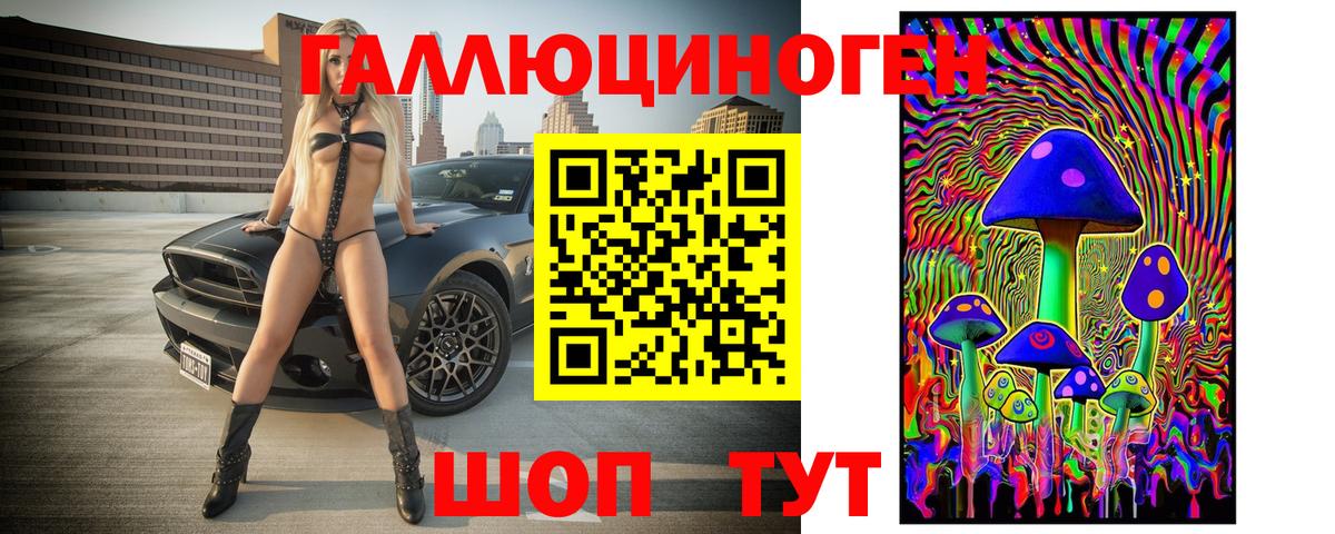 Галлюциногенные грибы Psilocybine cubensis Урай